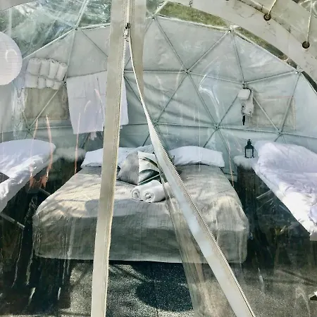 Luxury tent Finndome 2*