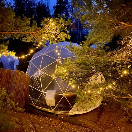 Finndome