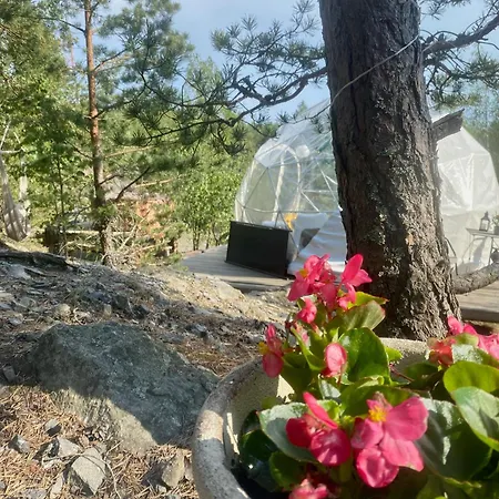 Finndome 2* Pori