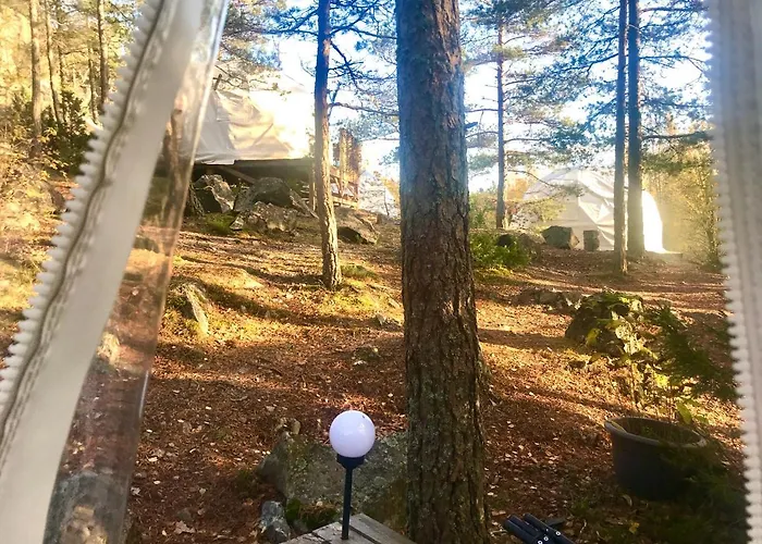 Luxury tent Finndome 2*