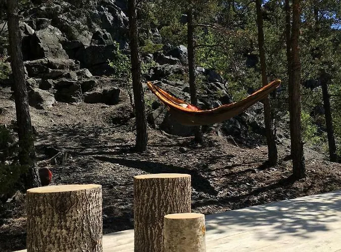 Finndome 2* פורי