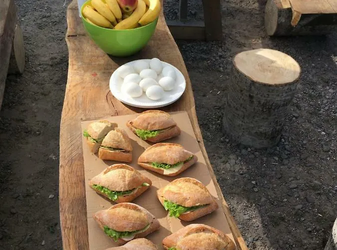 Luxury tent Finndome 2*